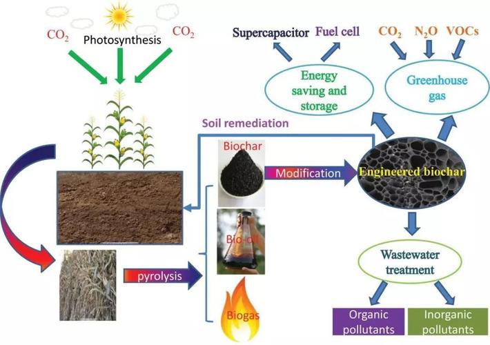 功能化生物炭应用研究取得系列进展